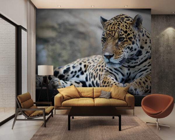 Leopard întins pe o suprafață de lemn Fototapet Leopard întins pe o suprafață de lemn