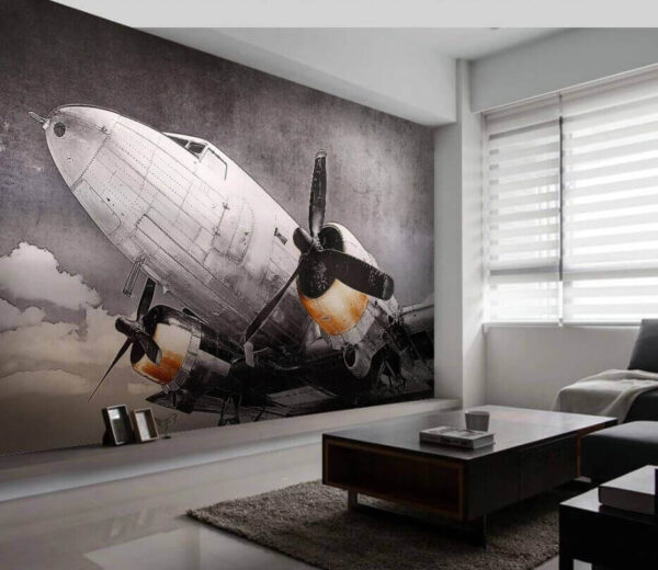 Avion cu elice Fototapet Avion cu elice