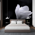 Fototapet Floare albă pe o ramură