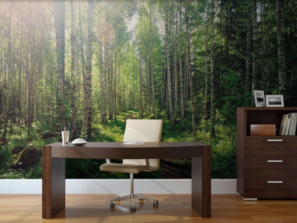 Drum de pământ printr-o pădure Fototapet Drum de pământ printr-o pădure