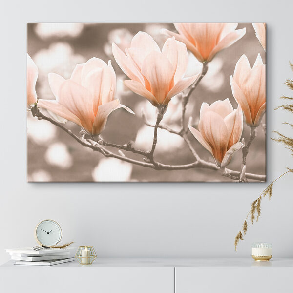 Flori de magnolie care înfloresc primăvara Tablouri Flori de magnolie care înfloresc primăvara