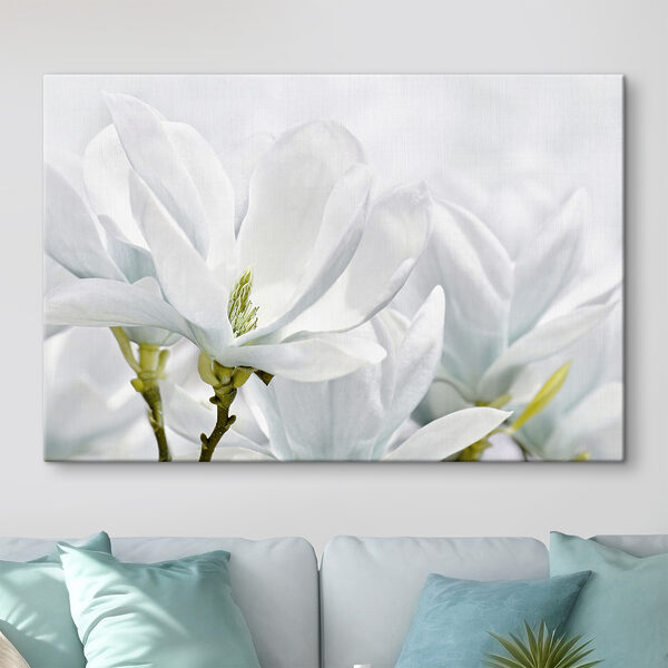 Magnolia albă înflorește primăvara Tablouri Magnolia albă înflorește primăvara