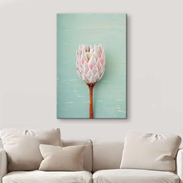 Protea floare pe fundal albastru Tablouri Protea floare pe fundal albastru