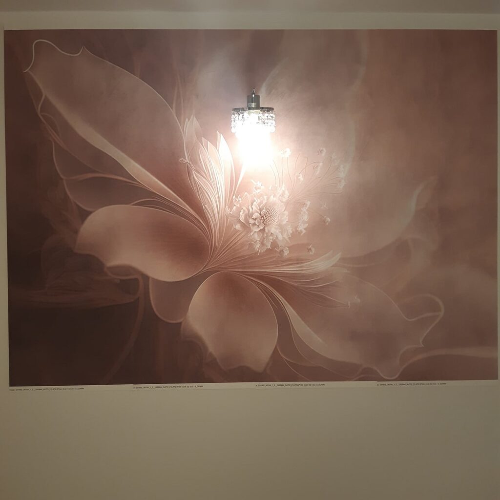 Image #1 from Grace W.