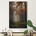 Tablouri Canvas prints Forest with trees and fog