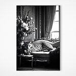 Tablouri Leopard întins pe o canapea