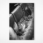 Tablouri Leopard întins pe o canapea