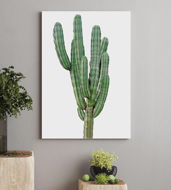 Cactus cu tulpini verzi lungi și subțiri Tablouri Cactus cu tulpini verzi lungi și subțiri
