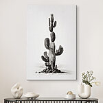 Tablouri Cactus cu un fundal alb