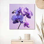 Tablouri Floare de orhidee violet și alb