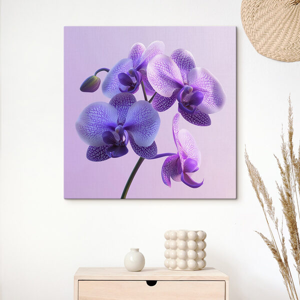 Floare de orhidee violet și alb Tablouri Floare de orhidee violet și alb