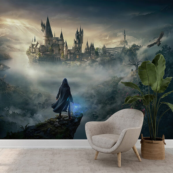 Persoană care stă pe o stâncă și se uită la un castel Fototapet Persoană care stă pe o stâncă și se uită la un castel