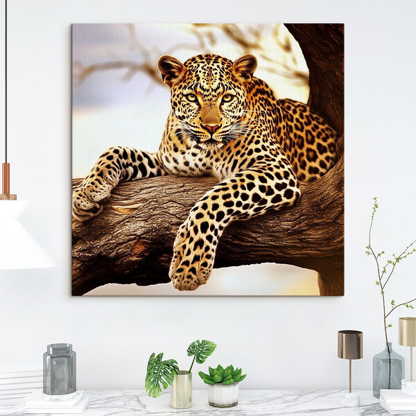 Leopard întins pe o creangă de copac Tablouri Leopard întins pe o creangă de copac