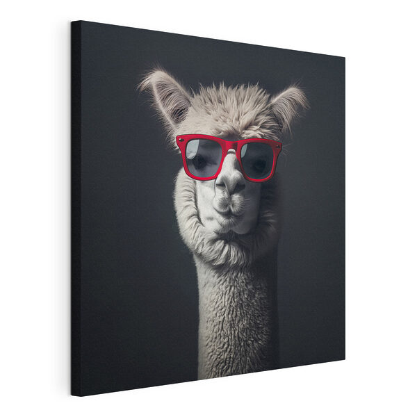 Llama poartă ochelari de soare roșii Tablou pe pânză Llama poartă ochelari de soare roșii