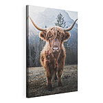 Tablou pe pânză Vacă Highland în peisaj montan pitoresc
