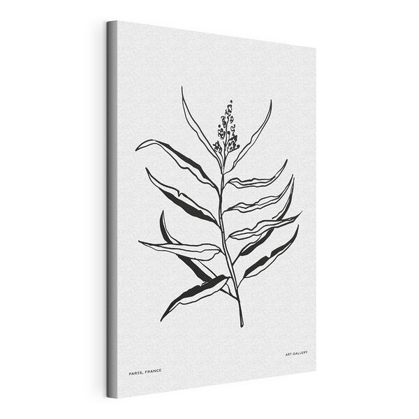 Tablou pe pânză Desen alb-negru al unei plante