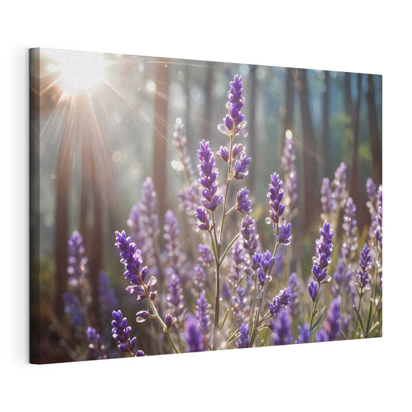 Tablou pe pânză Lumina soarelui scaldă lavanda în pădure