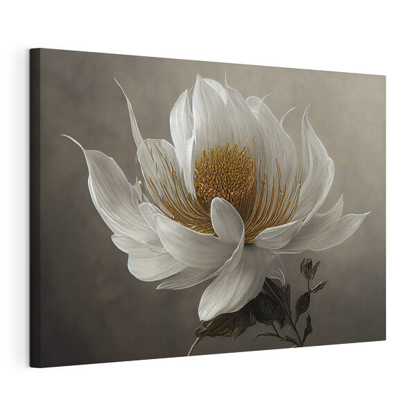 Tablou pe pânză Floare albă elegantă în floare