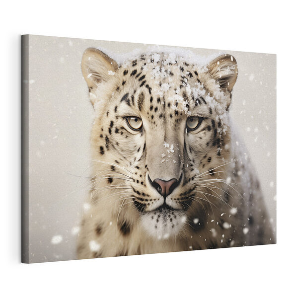 Leopard de zăpadă cu zăpadă pe cap Tablou pe pânză Leopard de zăpadă cu zăpadă pe cap