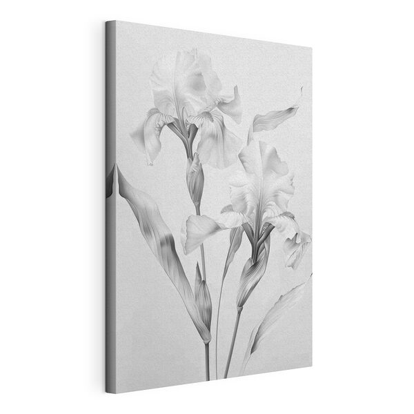 Tablou pe pânză Tablou pe pânză Floare delicată în eleganță monocromă (SKU: s42171)