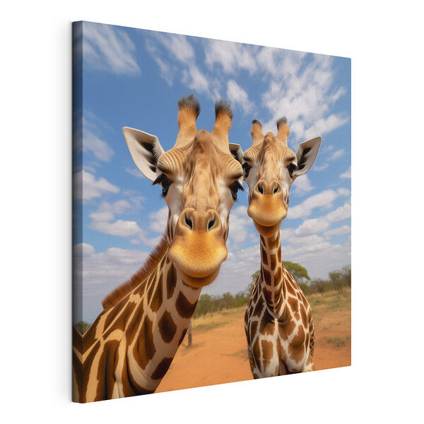 Două girafe în picioare pe un câmp Tablou pe pânză Două girafe în picioare pe un câmp