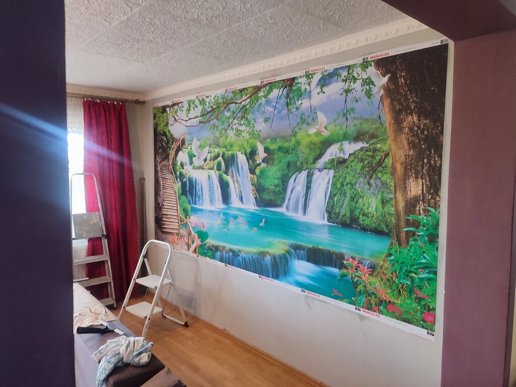 Image #1 from Magerusan Bianca